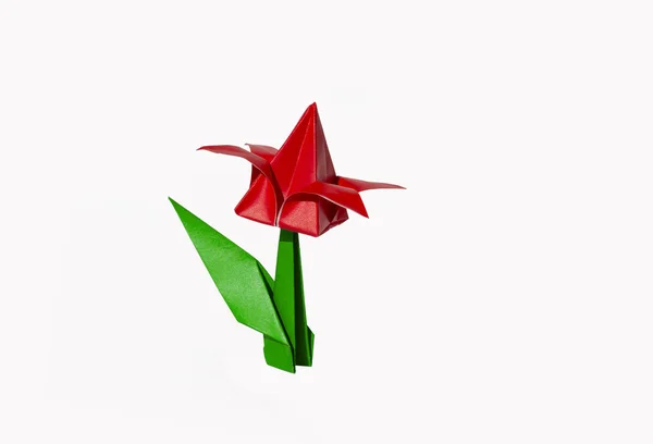 Origami red flower, tulip, isolated on white — Stock Photo, Image