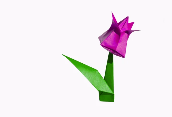 Origami růžový květ, tulipán, izolované na bílém — Stock fotografie