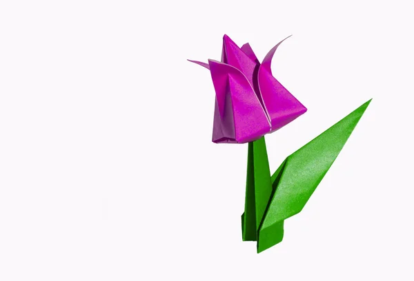 Origami roze bloem, tulp, geïsoleerd op wit — Stockfoto