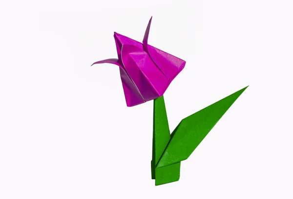 Origami vaaleanpunainen kukka, tulppaani, eristetty valkoinen — kuvapankkivalokuva