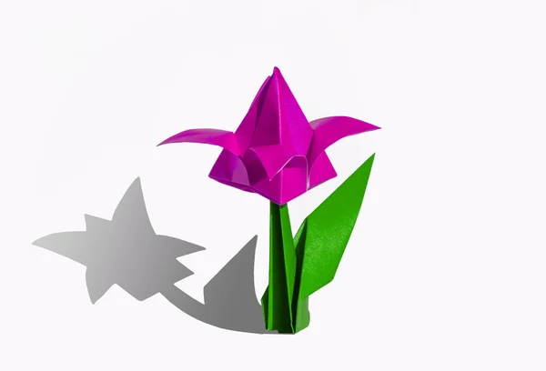 Origami rosa Blume, Tulpe, isoliert auf weiß — Stockfoto