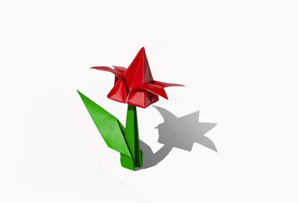 Origami rote Blume, Tulpe, isoliert auf weiss — Stockfoto