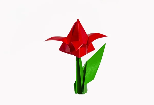 Origami röd blomma, tulpan, isolerad på vit — Stockfoto