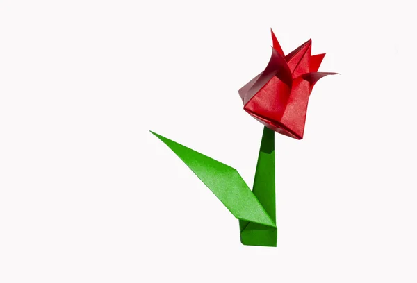 Origami röd blomma, tulpan, isolerad på vit — Stockfoto