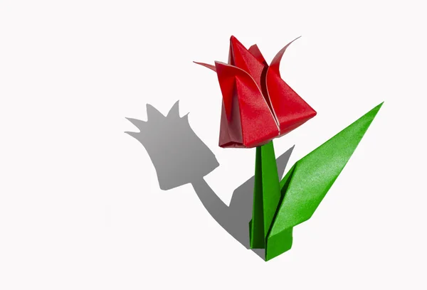 Origami fleur rouge, tulipe, isolé sur blanc — Photo