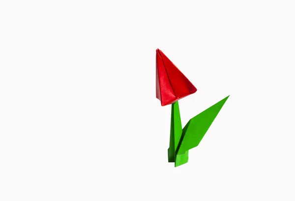 Origami κόκκινο λουλούδι, τουλίπα, που απομονώνονται σε λευκό — Φωτογραφία Αρχείου