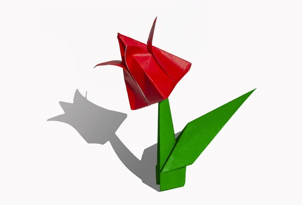 Origami röd blomma, tulpan, isolerad på vit — Stockfoto
