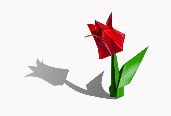 Origami red flower, tulip, isolated on white — Stock Photo, Image