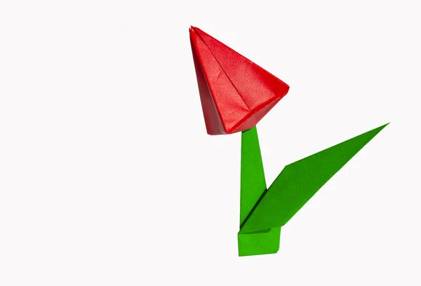 Origami rote Blume, Tulpe, isoliert auf weiss — Stockfoto