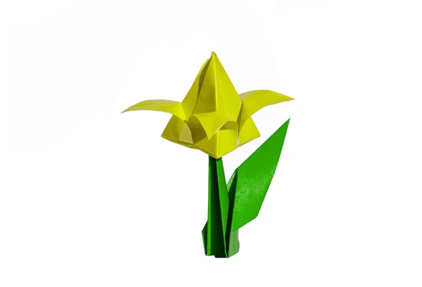 Origami fleur jaune, tulipe, isolé sur blanc — Photo