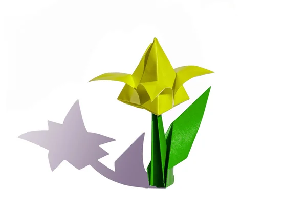 Origami flor amarilla, tulipán, aislado en blanco —  Fotos de Stock