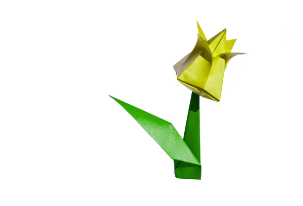 Origami gelbe Blume, Tulpe, isoliert auf weiß — Stockfoto