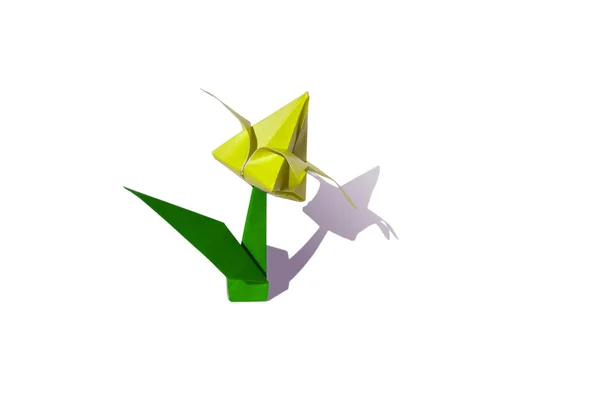 Origami žlutý květ, tulipán, izolované na bílém — Stock fotografie