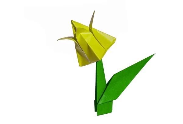 Origami yellow flower, tulip, isolated on white — Stock Photo, Image