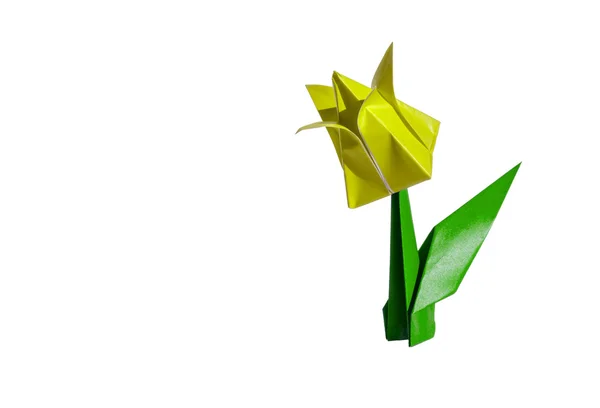 Origami yellow flower, tulip, isolated on white — Stock Photo, Image
