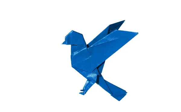 Robin des oiseaux Origami bleu isolé sur blanc — Photo