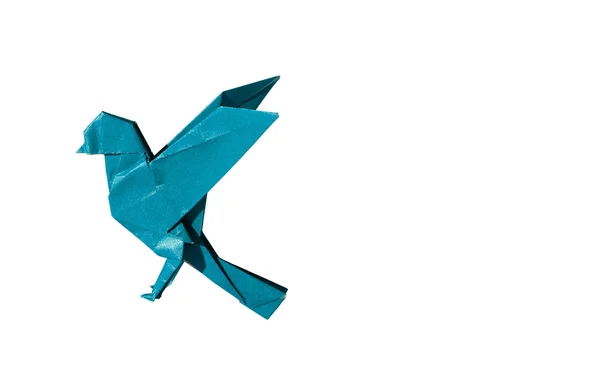 Cyan Origami Pájaro Robin aislado en blanco — Foto de Stock