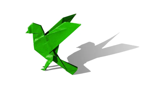 Green Origami Bird Robin isolated on white — Stock Photo, Image