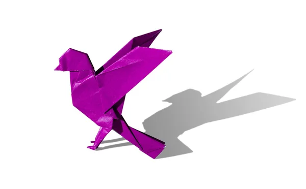 Robin des oiseaux rose Origami isolé sur blanc — Photo