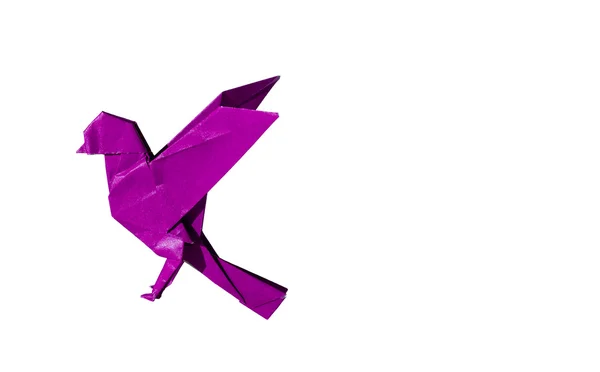 Rosa púrpura Origami Pájaro Robin aislado en blanco —  Fotos de Stock
