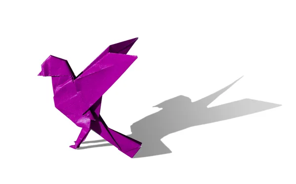 Rose violet Origami Bird Robin isolé sur blanc — Photo