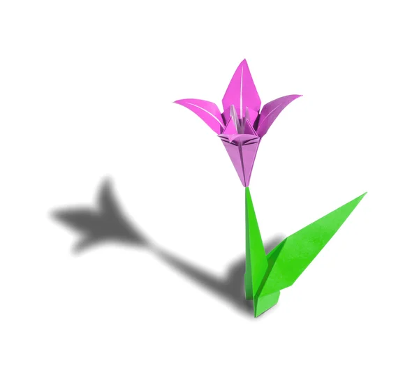 Pembe origami çiçek lily üzerine beyaz izole — Stok fotoğraf