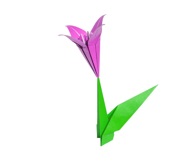 Pink origami flower lily isolated on white — Stock Photo, Image