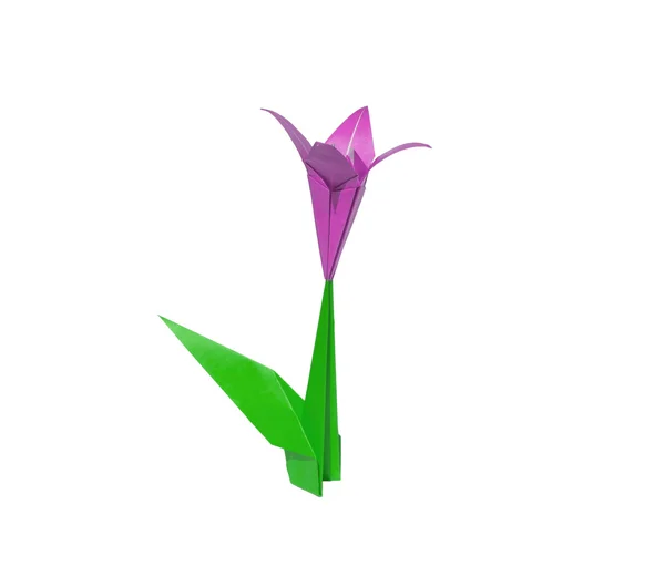 Origami pink flower, tulip, isolated on white — Stock Photo, Image