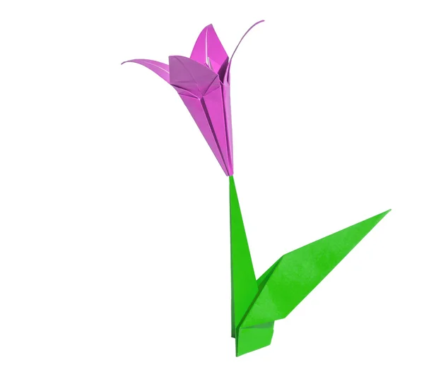 Origami rosa blomma, tulpan, isolerad på vit — Stockfoto