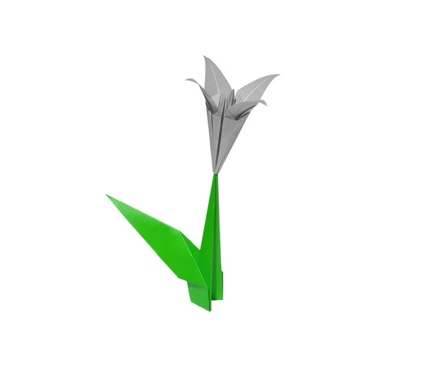 White origami flower lily isolated on white — Stock Photo, Image