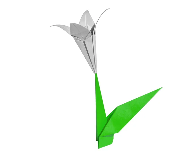 White origami flower lily isolated on white — Stock Photo, Image