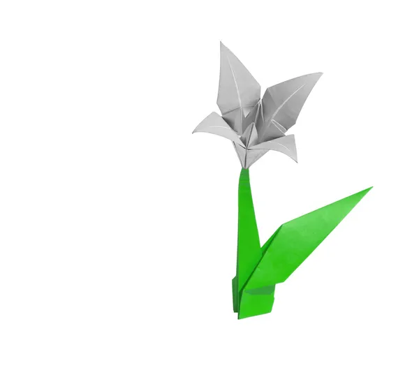Bílá origami květina lilie izolované na bílém — Stock fotografie