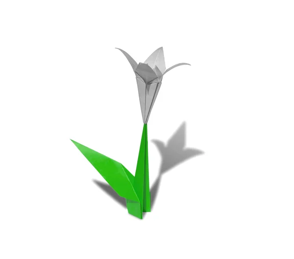 White origami flower lily isolated on white — Stock Photo, Image
