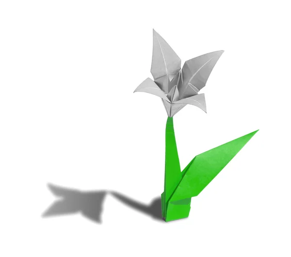 Biały origami kwiat lilii na białym tle — Zdjęcie stockowe