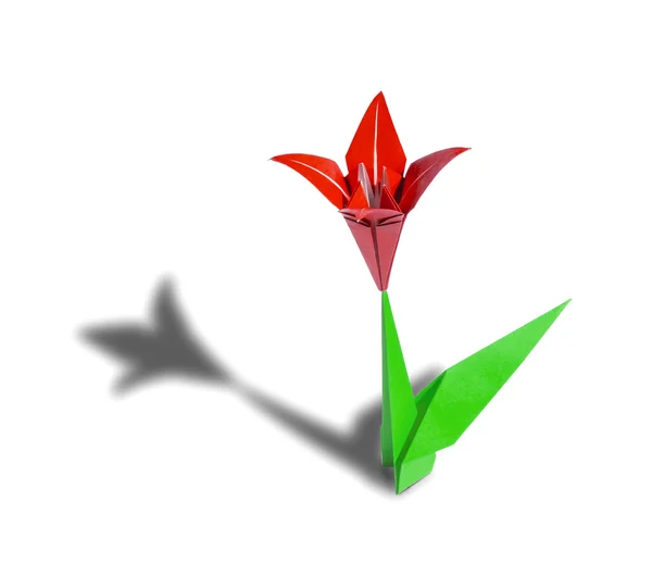 Red origami flower lily isolated on white — Stock Photo, Image