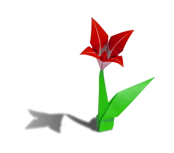 Red origami flower lily isolated on white — Stock Photo, Image