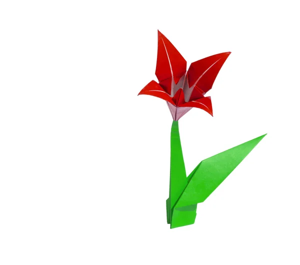 Lily flor origami vermelho isolado em branco — Fotografia de Stock