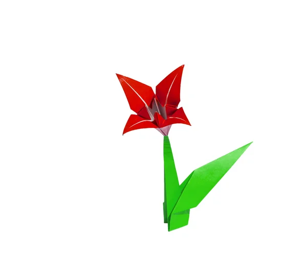 Giglio di origami rosso isolato su bianco — Foto Stock