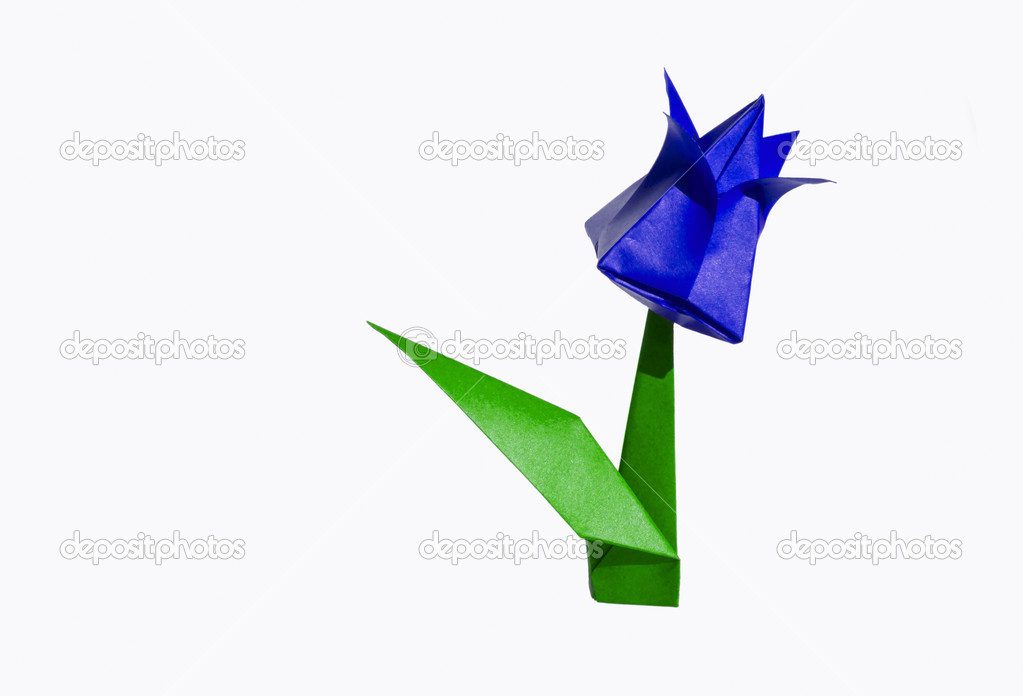 Origami Blau Blume Tulpe Isoliert Auf Weiss Stockfoto