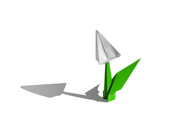 Origami witte bloem, tulp, geïsoleerd op wit — Stockfoto