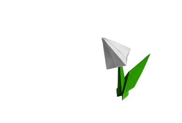 Origami white flower, tulip, isolated on white — Stock Photo, Image
