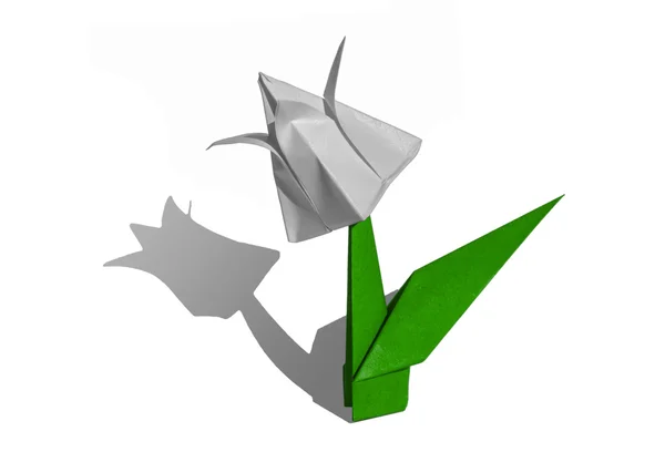 Origami bílý květ, tulipán, izolované na bílém — Stock fotografie
