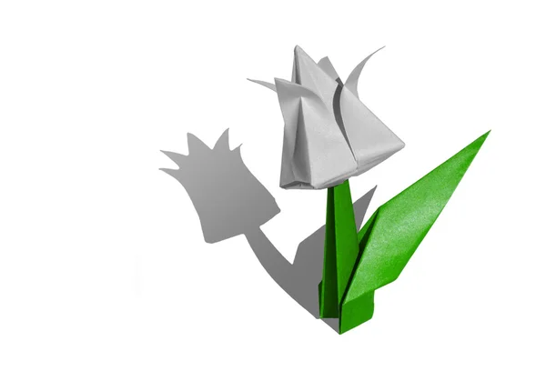 Origami white flower, tulip, isolated on white — Stock Photo, Image