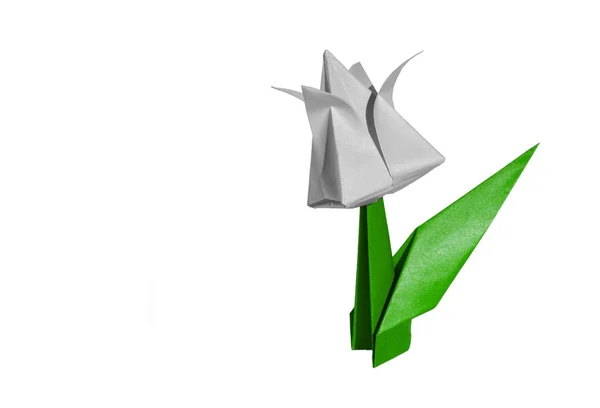 Origami white flower, tulip, isolated on white — Stock Photo, Image