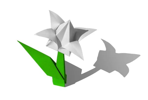 Origami beyaz çiçek, Lale, üzerinde beyaz izole — Stok fotoğraf