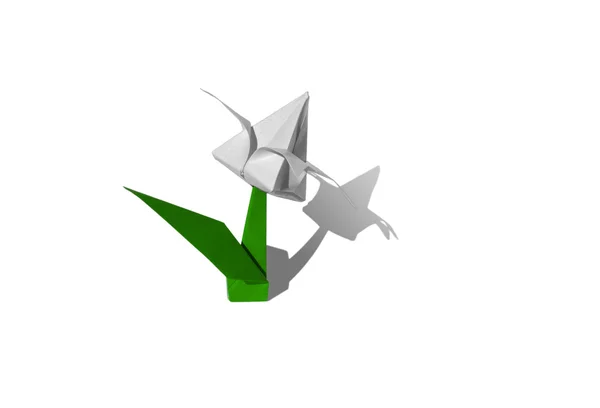 Origami weiße Blume, Tulpe, isoliert auf weiß — Stockfoto