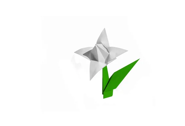 Origami flor blanca, tulipán, aislado en blanco —  Fotos de Stock