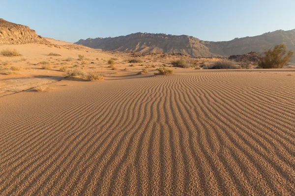 Ondas en la arena del desierto —  Fotos de Stock