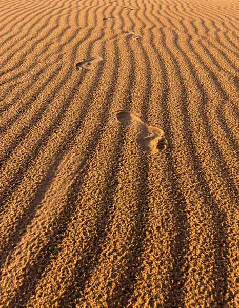 Следы на песке пустыни — стоковое фото
