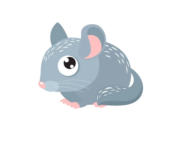 病媒卡通片Chinchilla 可爱的啮齿动物卡通人物 小毛茸茸的老鼠 灰羊毛 — 图库矢量图片